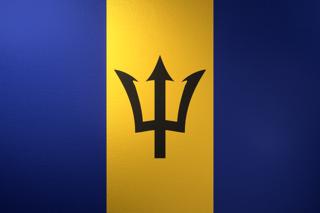 바베이도스 국기, 실제 비율의 국기로 그림자와 질감이 느껴지는 이미지