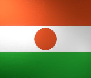 Niger National Flag, Basical ratio National Flag with texture and shadow