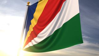 Seychelles Africa 2-1,National Flag,3D Flag images